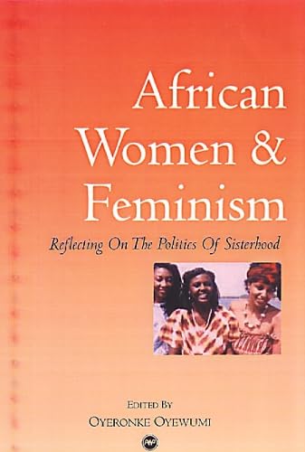 African Women And Feminism: Reflecting on the Politics of Sisterhood von Brand: Africa World Press
